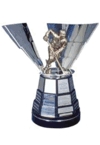 Морис Ришар Трофи, Maurice Richard Trophy